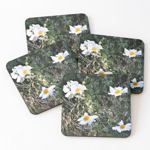 Item preview, Fried Egg Plant (Matilija Poppies) designed and sold by Martha Sherman.