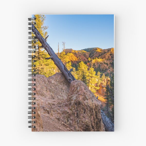 Item preview, Dead Wood at Red Canyon Utah designed and sold by Andrew Pacheco.