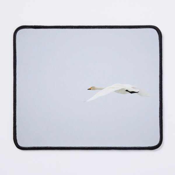 Item preview, Whooper swan light tones fly designed and sold by Jouko Lehto Photography.