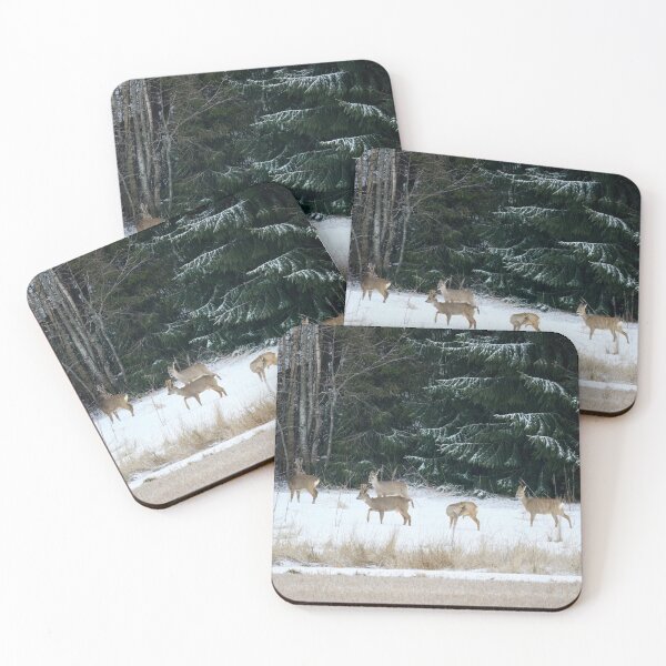 Item preview, The family together. Roe deer designed and sold by Jouko Lehto Photography.