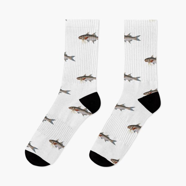 Item preview, Kalamin Polynemus Plebeius Vintage Fish designed and sold by AmethystMurad.