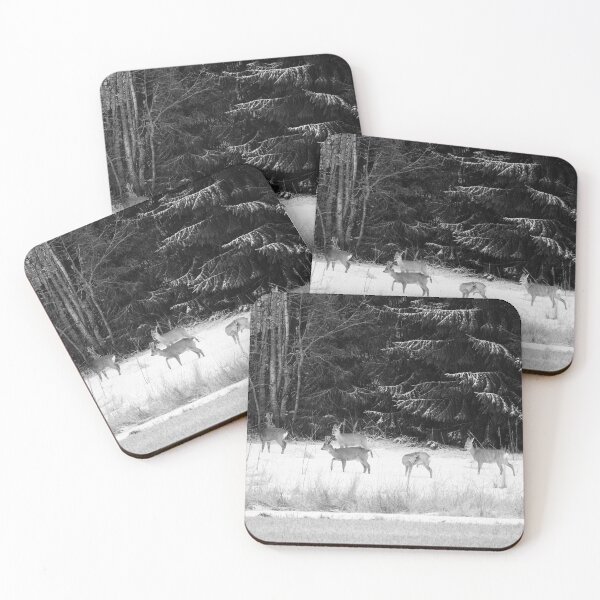 Item preview, The family together. Roe deer bw designed and sold by Jouko Lehto Photography.
