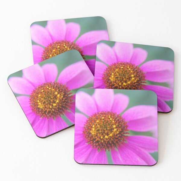 Item preview, Purple Echinacea Flower in the Garden designed and sold by Allison Ostertag.