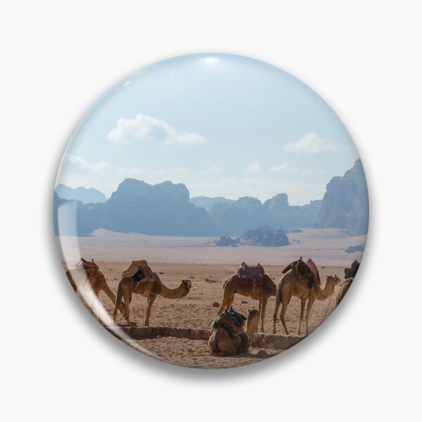 Item preview, Camels in Jordan designed and sold by traveltheory.