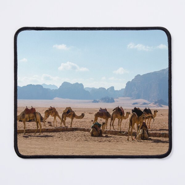 Item preview, Camels in Jordan designed and sold by traveltheory.