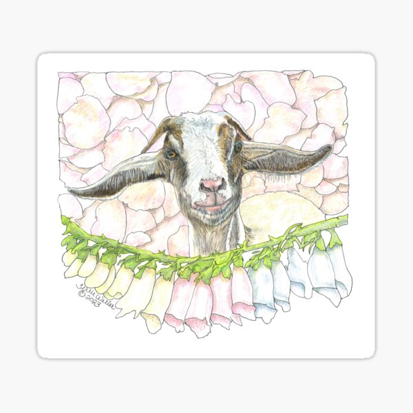 Rosy the Goat Sticker