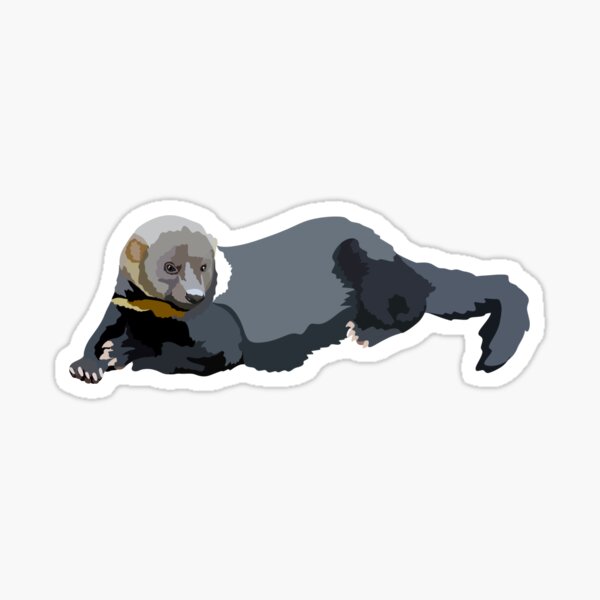 Item preview, T is for Tayra, Tayra Illustration – Wild Central American Mammal Art for Nature Lovers designed and sold by thezoogirl.