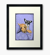 The Circle of Life Framed Print