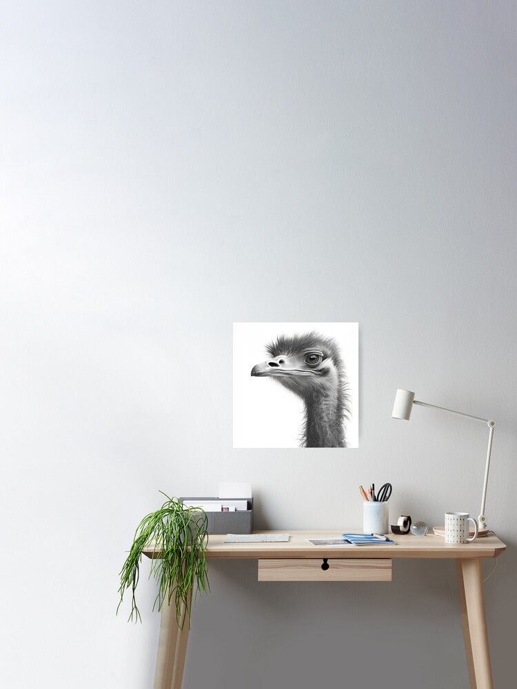 Ostrich ~ I'll Fly Tomorrow ~ Graphite Pencil Art Sketch Drawing  Picture Print