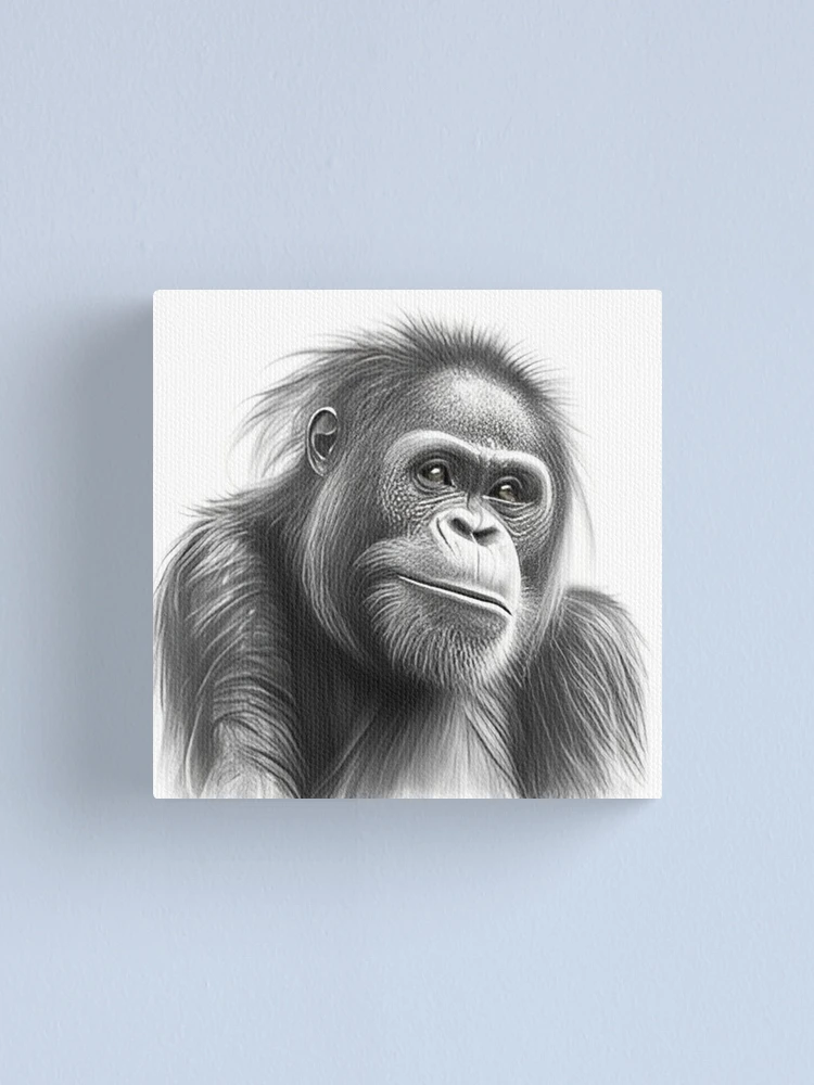 pencil-art-macacos-09  Animal portraits art, Monkey art, Pencil drawings  of animals