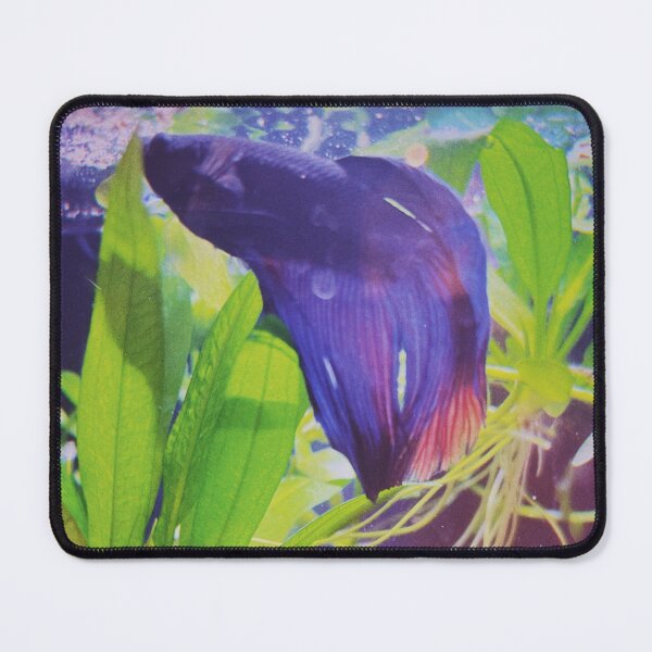 Item preview, Aqueous Cover designed and sold by CaseinMusic.