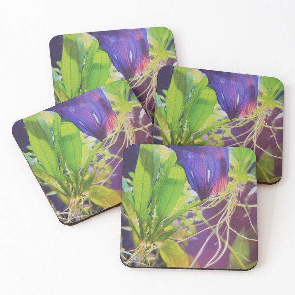 Item preview, Aqueous Cover designed and sold by CaseinMusic.