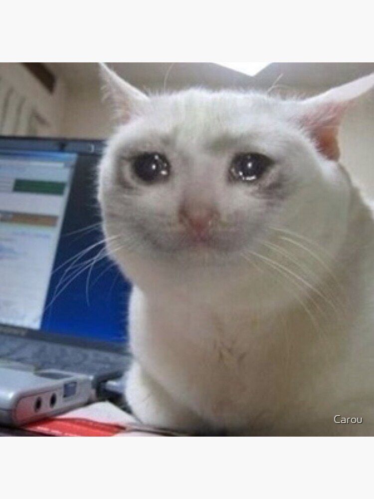 Crying cat meme by Carou