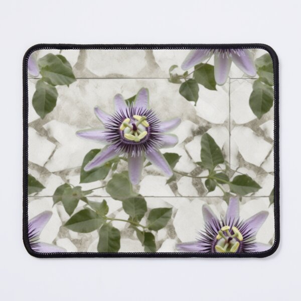 Item preview, Passionflower on the wall pattern designed and sold by KatyaH1965.