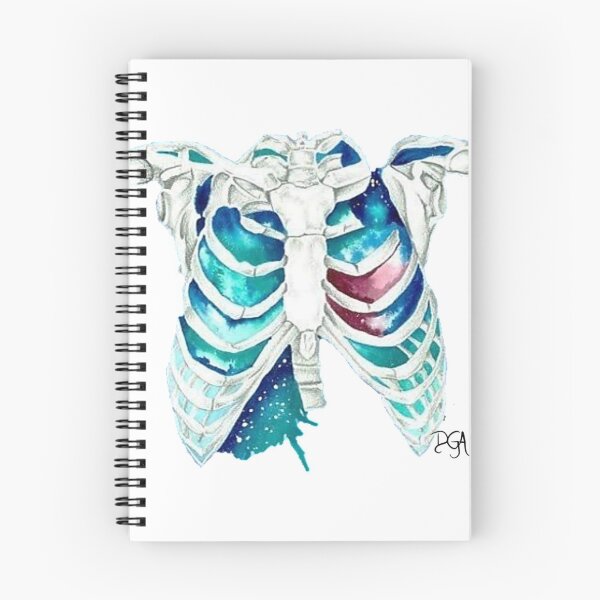 Item preview, Rib cage designed and sold by DanielaGaleanoA.