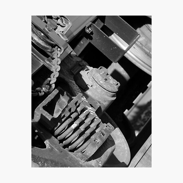 Photographic Print