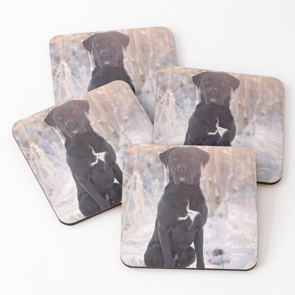 Item preview, Human best friend  designed and sold by Hornas.