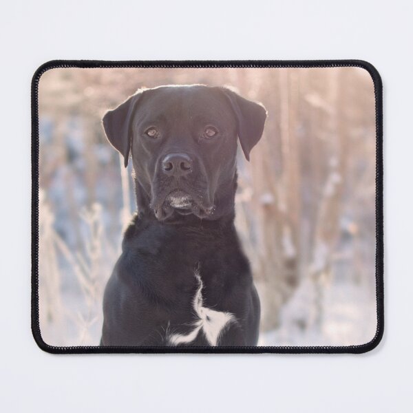 Item preview, Human best friend designed and sold by Hornas.
