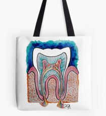 Tooth Anatomy Tote Bag