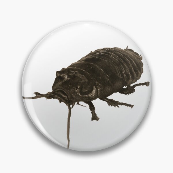 Item preview, roach giant hissing cockroach vibrant hisser designed and sold by MiraNomegusta.