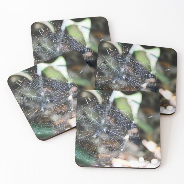 Item preview, spider web designed and sold by megdonley.