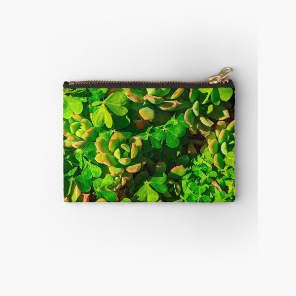 Item preview, Succulent Plant Red-Stem Crassula Rubricaulis designed and sold by SanArtcisco.