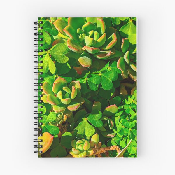 Item preview, Succulent Plant Red-Stem Crassula Rubricaulis designed and sold by SanArtcisco.