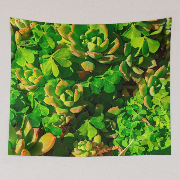 Item preview, Succulent Plant Red-Stem Crassula Rubricaulis designed and sold by SanArtcisco.