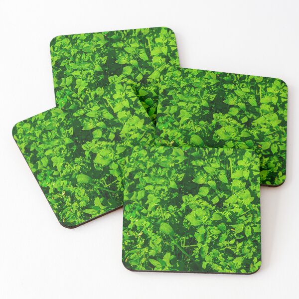 Item preview, Florida Pellitory Plant Parietaria Floridana designed and sold by SanArtcisco.