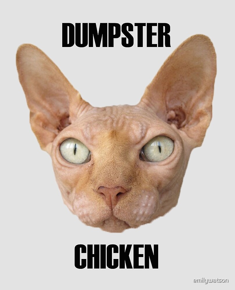 "Dumpster Chicken Hairless Cat" by emilywatson Redbubble