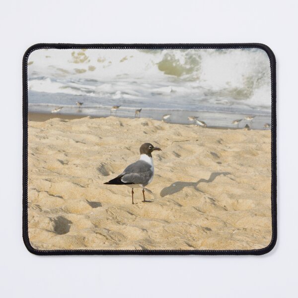 Item preview, birds on the beach designed and sold by megdonley.