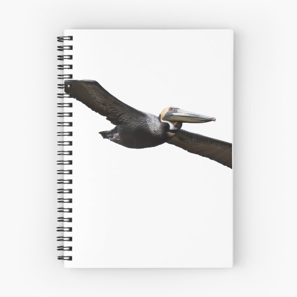 Item preview, Pelican in Flight designed and sold by Harrisonphoto.