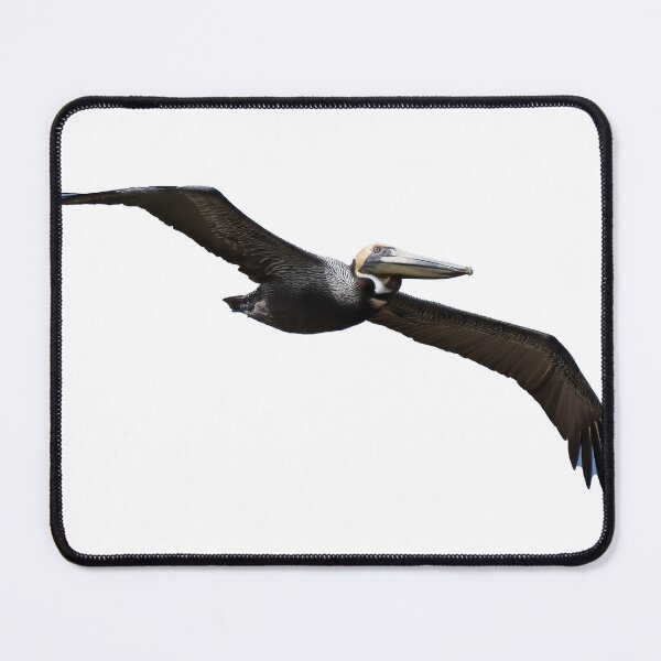 Item preview, Pelican in Flight designed and sold by Harrisonphoto.