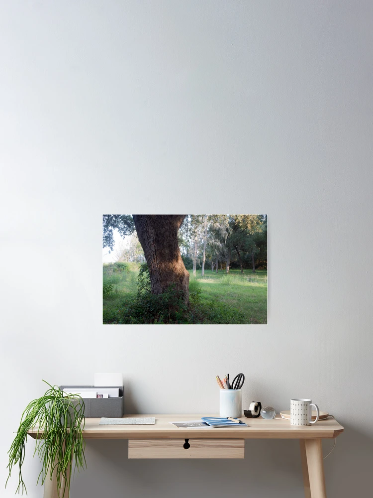Thumbnail 2 of 3, Poster, Clearing designed and sold by RollemFloyd.