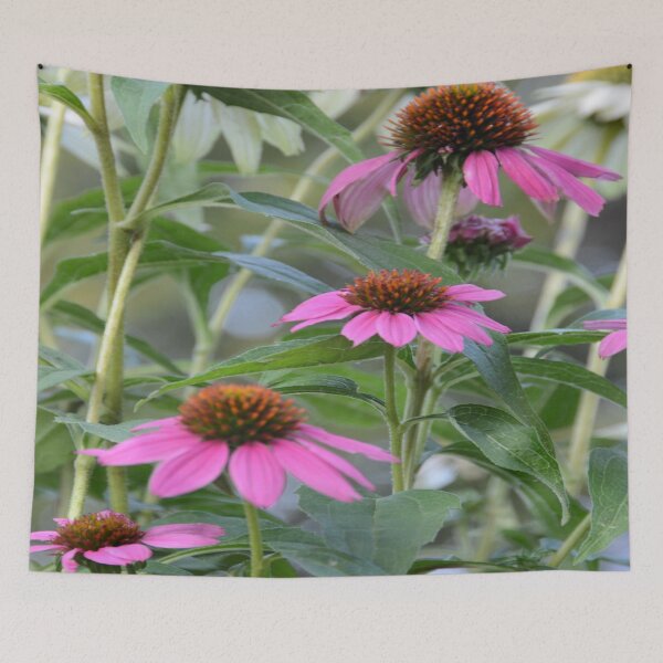 Item preview, Coneflower designed and sold by JohnDSmith.