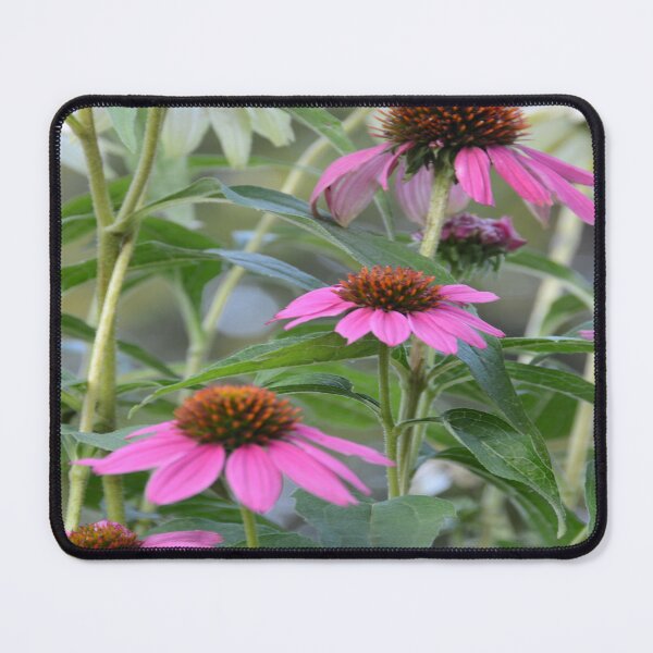 Item preview, Coneflower designed and sold by JohnDSmith.