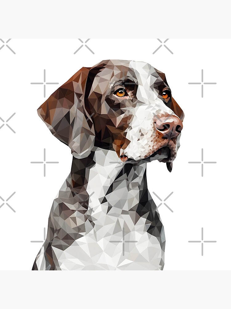 German shorthaired outlet pointer accessories