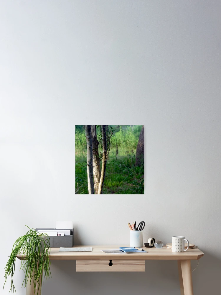 Thumbnail 2 of 3, Poster, Light designed and sold by RollemFloyd.