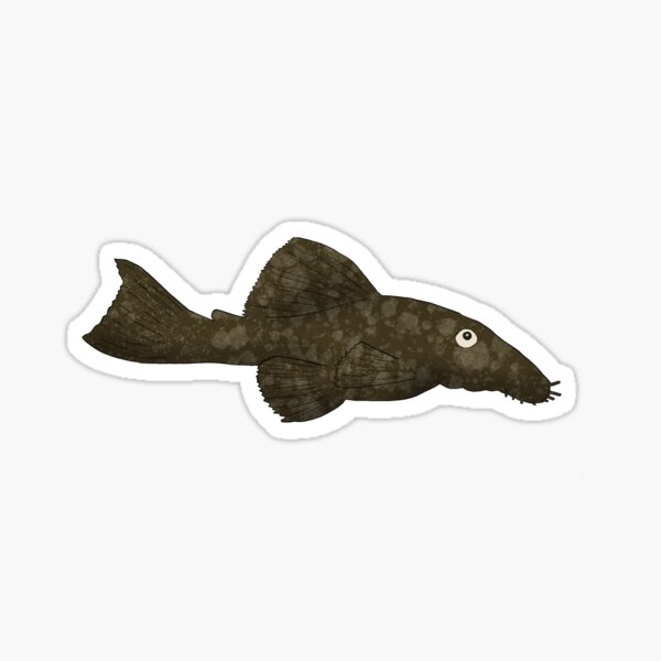 Vista previa del artículo con la obra «plecostomus nariz de cerdas», diseñado y vendido por Marissa Roghair Stroud.