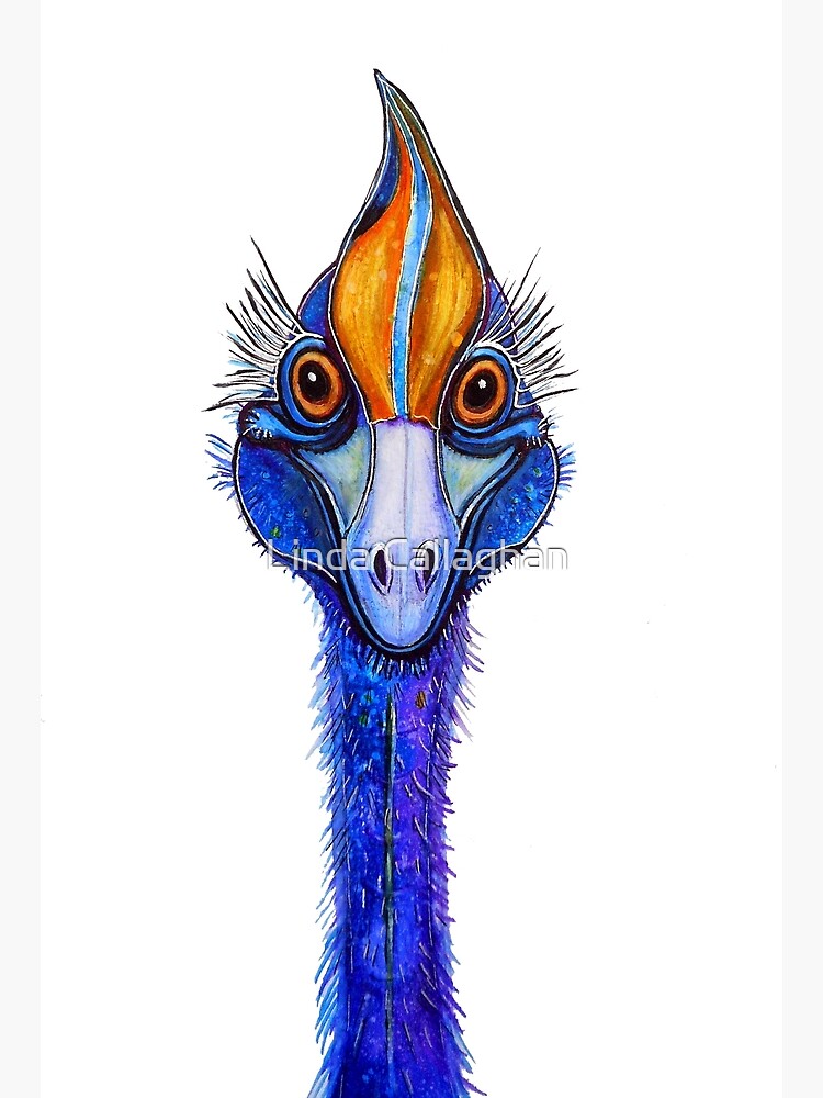 Thumbnail 3 of 3, Poster, Cassowary - "Smile"! designed and sold by LindArt1.