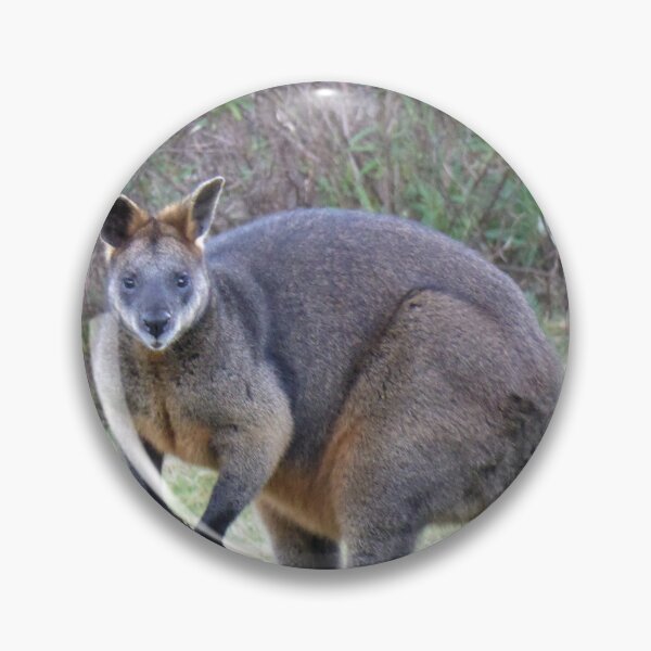 Item preview, Wallaby, Bega Valley, NSW, Australia designed and sold by Cobargo South Coast.