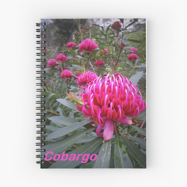 Item preview, Waratah (Telopea), NSW, Australia designed and sold by Cobargo South Coast.