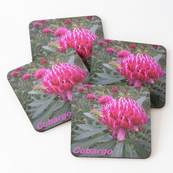 Item preview, Waratah (Telopea), NSW, Australia designed and sold by Cobargo South Coast.