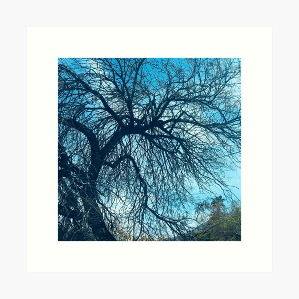 Item preview, Exquisite Stark Tree Branches Framed By Blue Sky designed and sold by DEC02.
