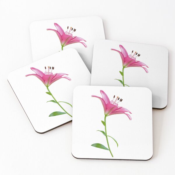 Item preview, Pink lily flower stem designed and sold by KRFNatureGifts.