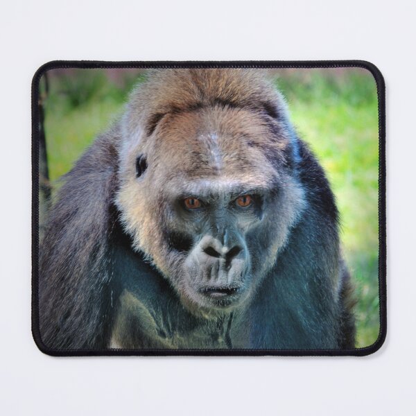Item preview,  Gorilla designed and sold by Savannah Gibbs.