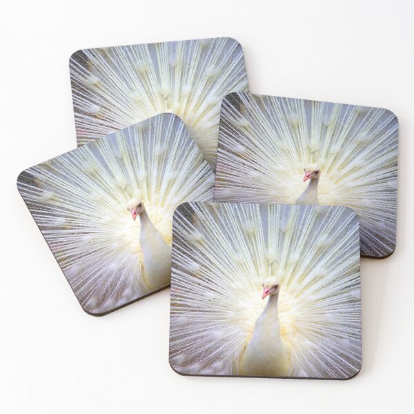 Item preview, A beautiful white peacock with thick white feathers. designed and sold by Moody Vibes Studio.
