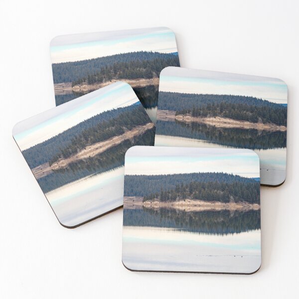 Item preview, Paraducks designed and sold by Esteban Peralta.