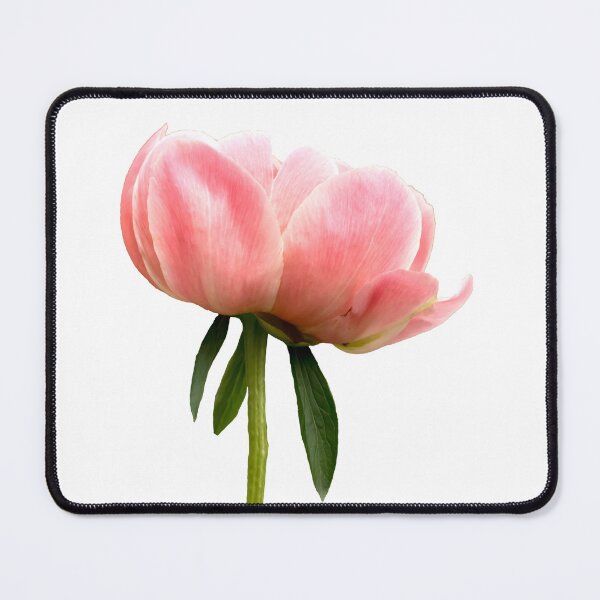 Item preview, Pink peony flower stem designed and sold by KRFNatureGifts.