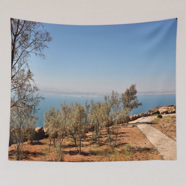 Item preview, Jordan - dead sea designed and sold by franck380.
